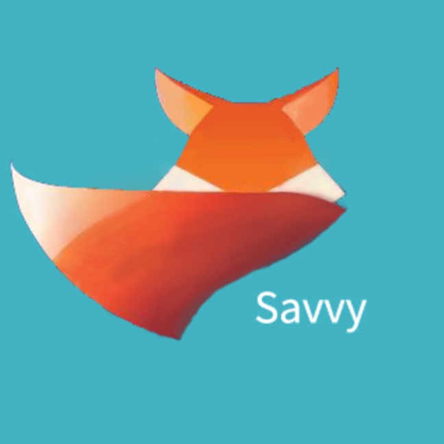 Startup logo