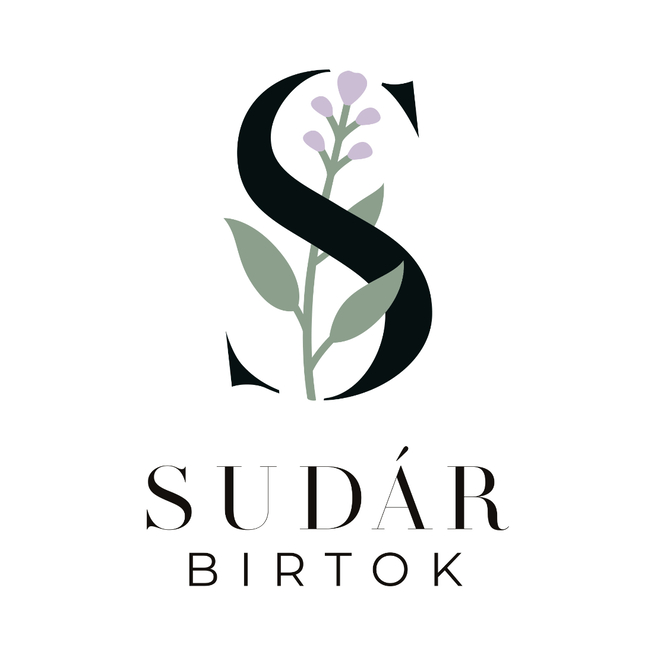 Startup logo
