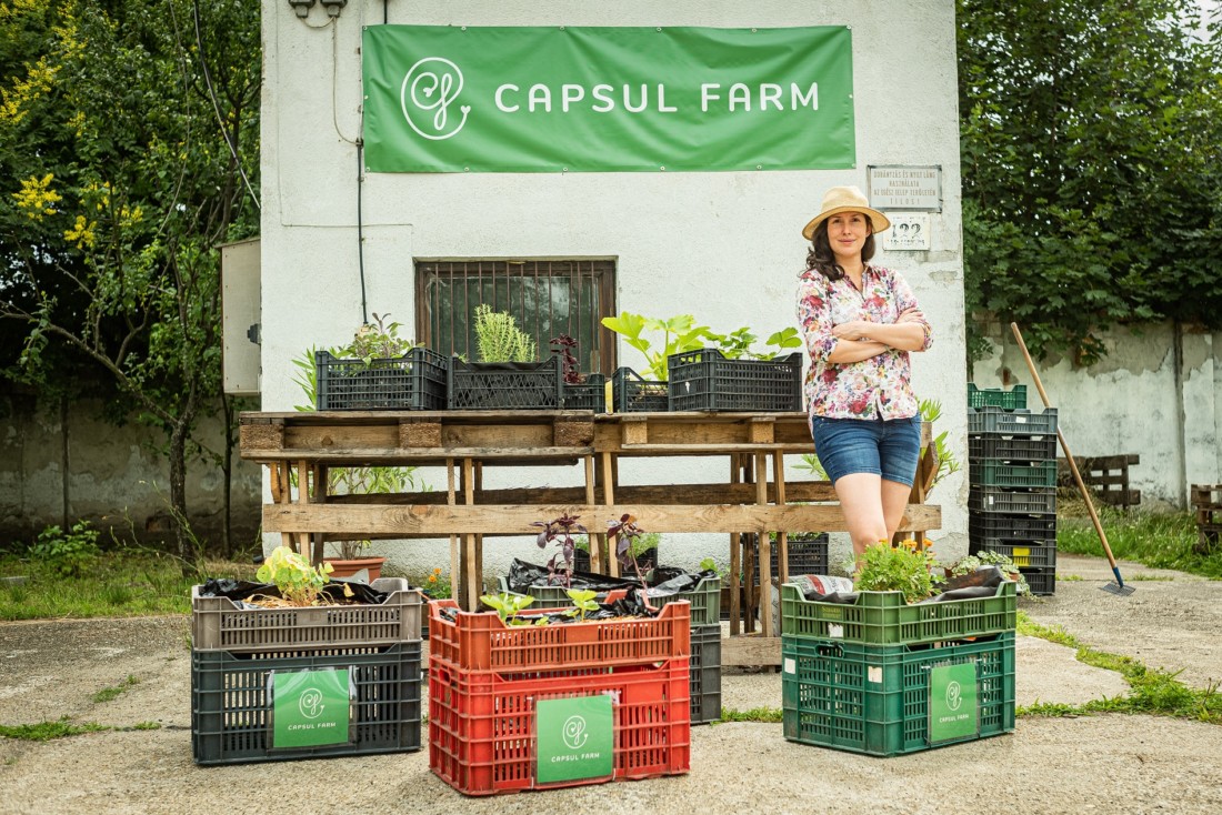 Capsul Farm
