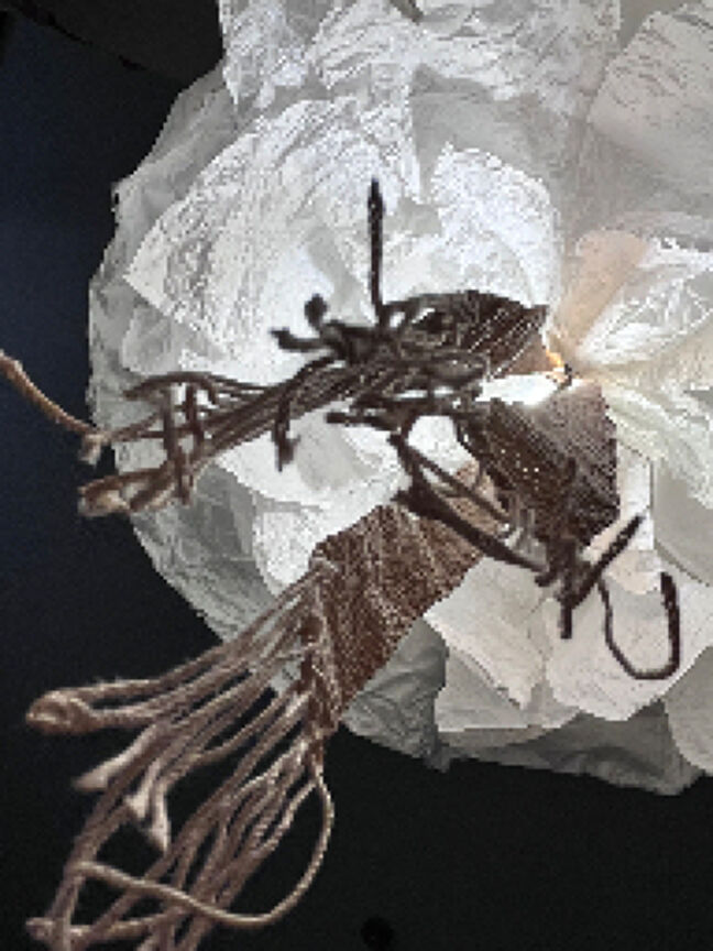 Dream Flowers 