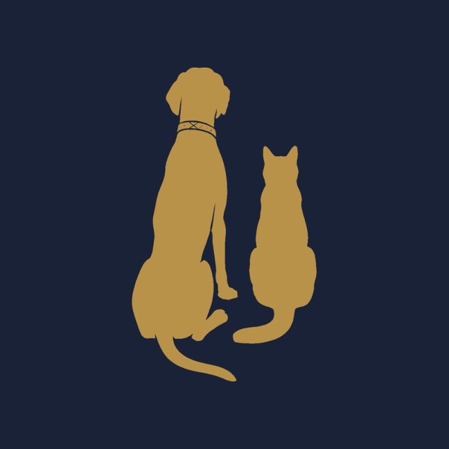 Startup logo